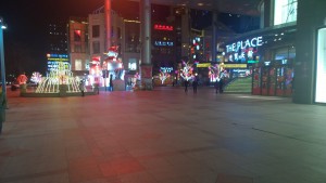 WP_20170121_18_05_59_Pro
